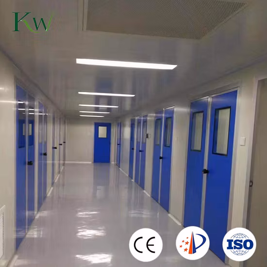 High Quality Clean Room Project for Medical Workshop Manufacturer